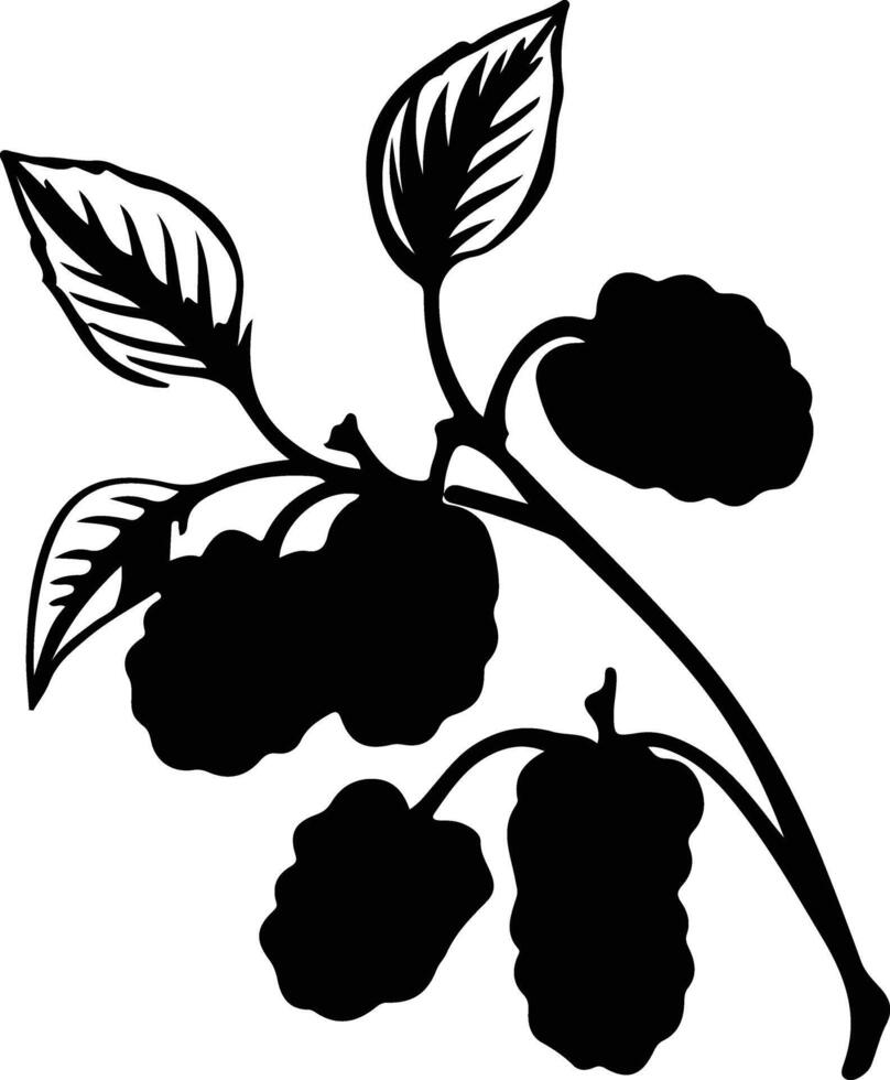 berry  black silhouette vector