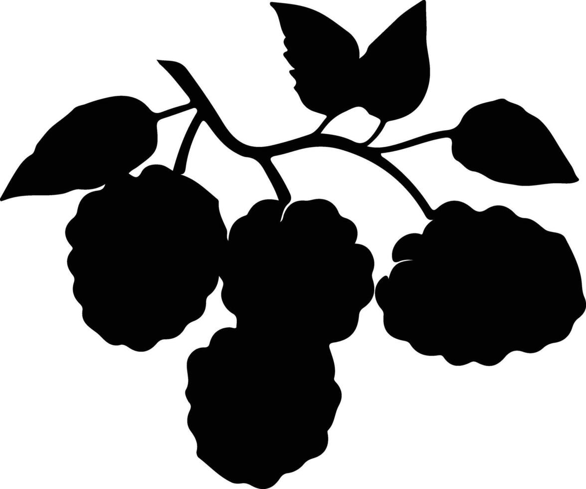 blackberry  black silhouette vector