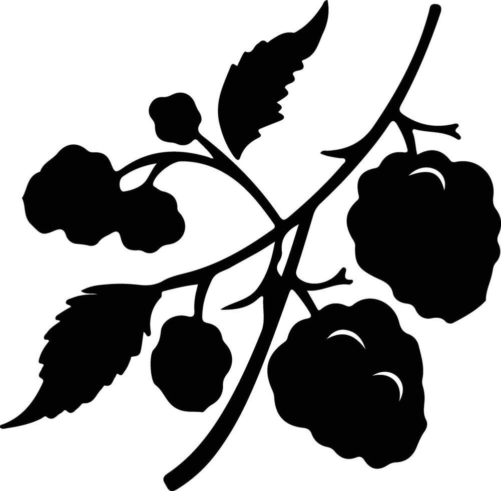 berry  black silhouette vector