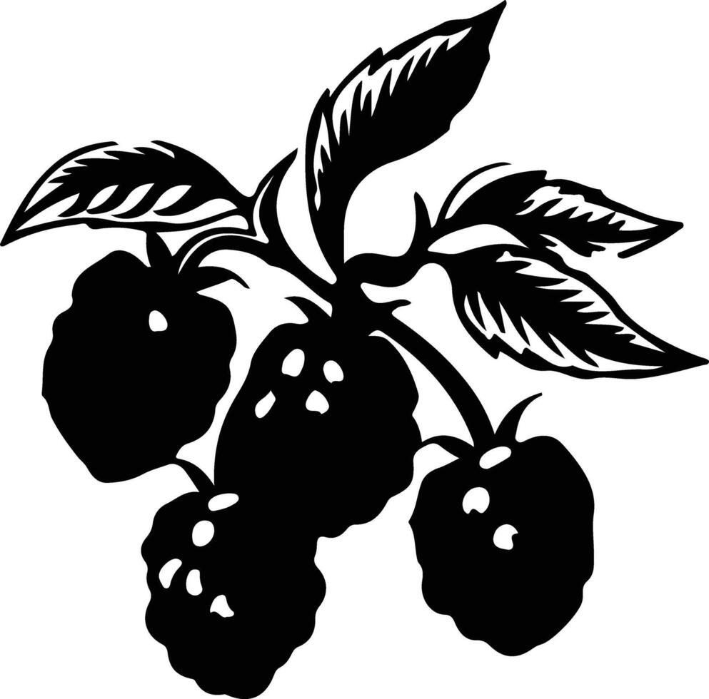 blackberry  black silhouette vector