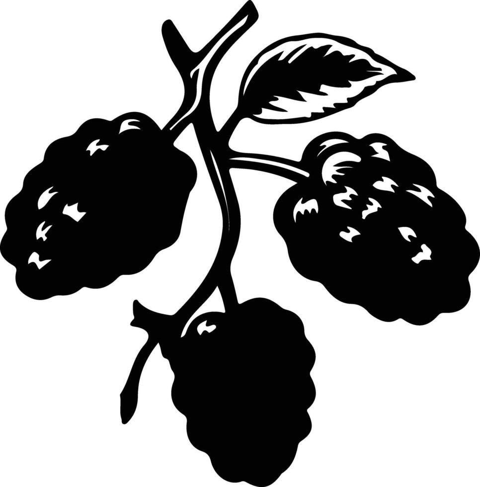 boysenberry  black silhouette vector