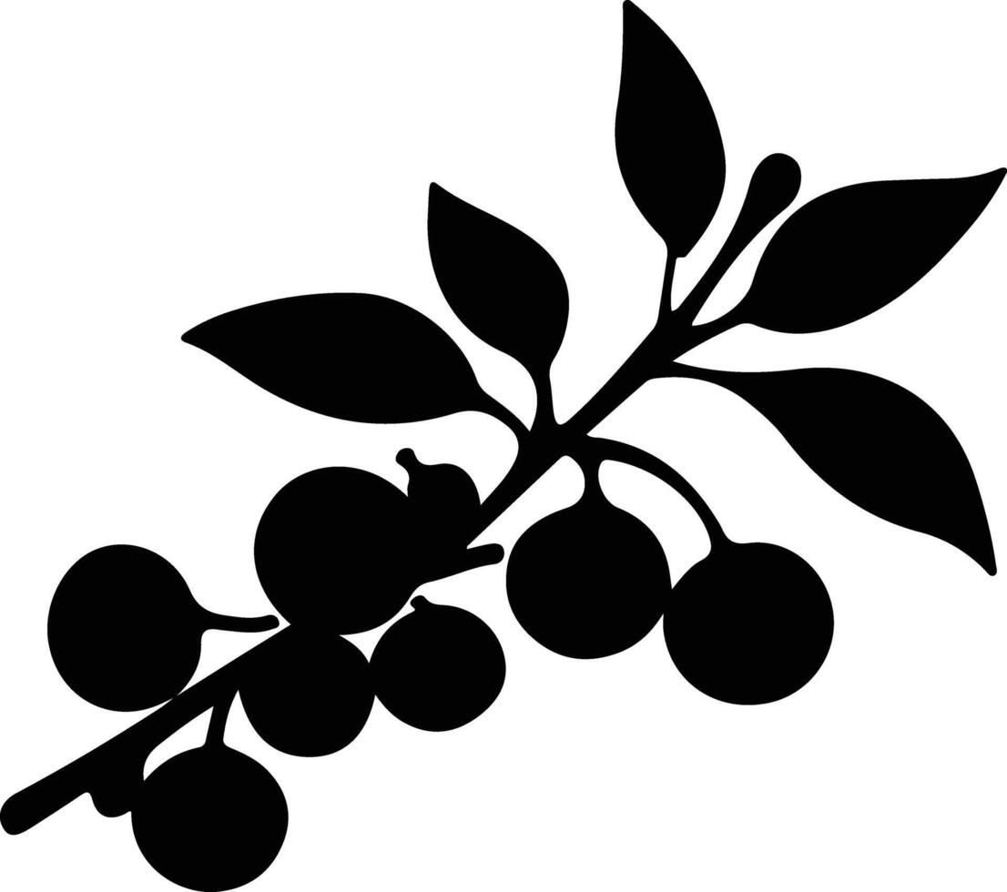 blueberry  black silhouette vector