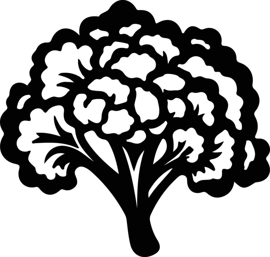 cauliflower  black silhouette vector