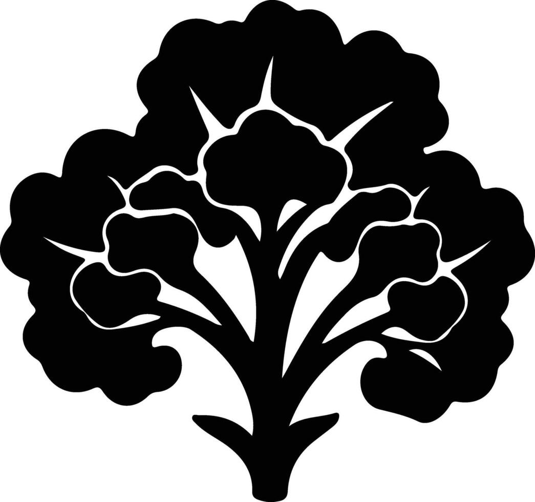 cauliflower  black silhouette vector