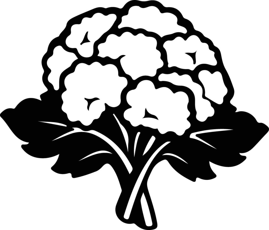 cauliflower  black silhouette vector