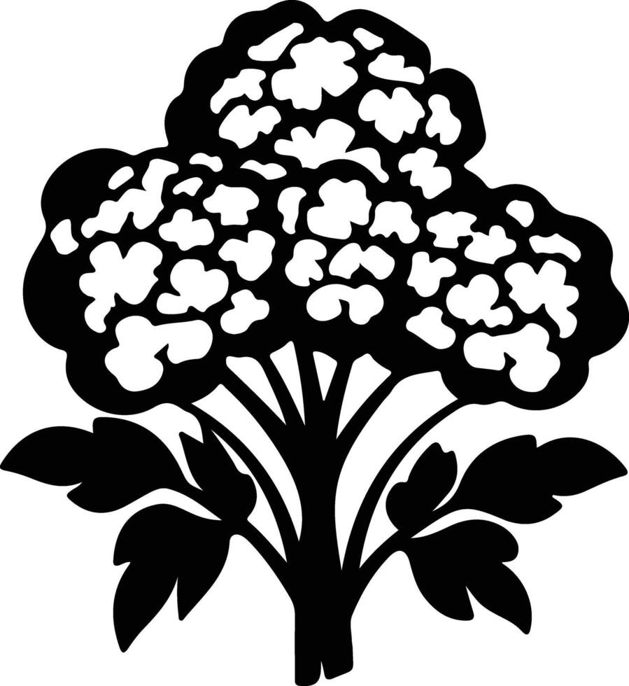 cauliflower  black silhouette vector