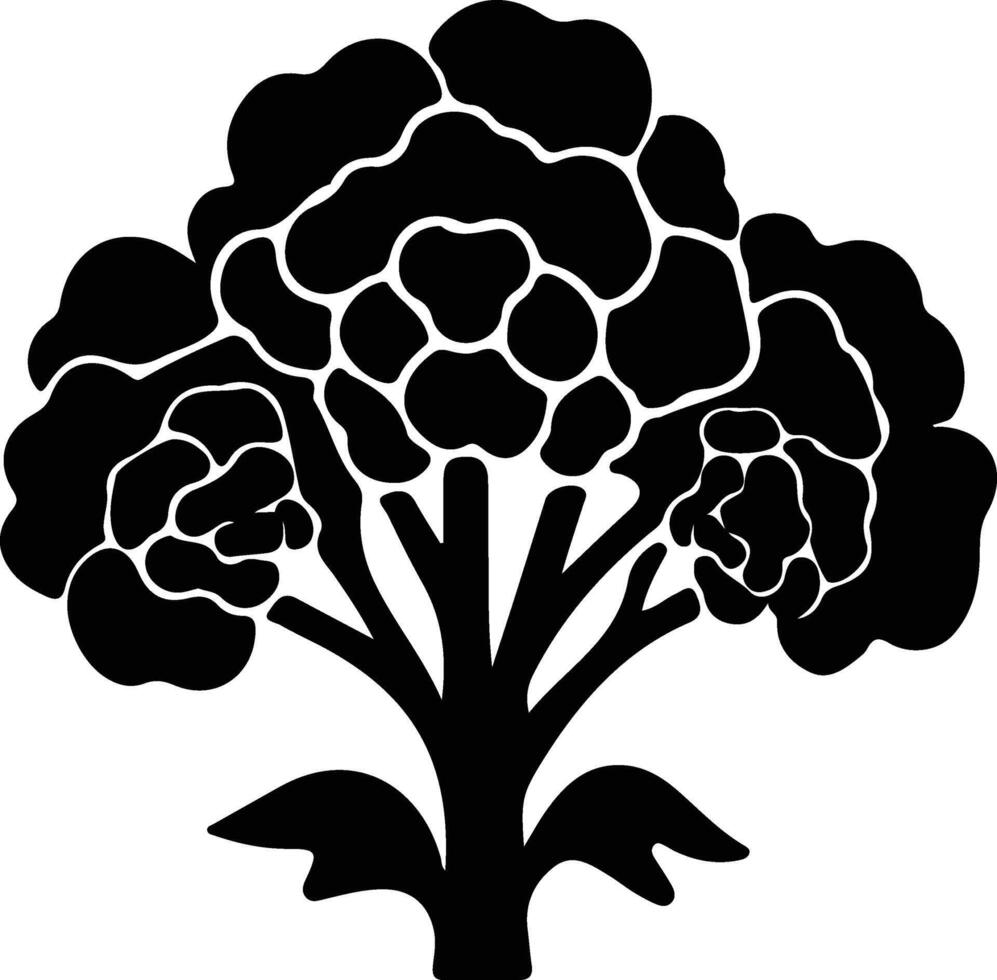 cauliflower  black silhouette vector