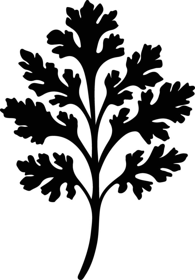 celery  black silhouette vector