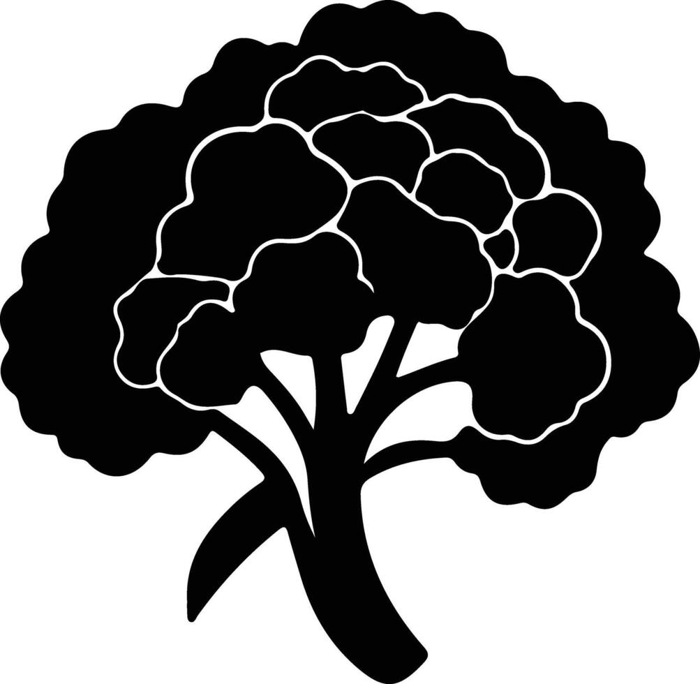cauliflower  black silhouette vector