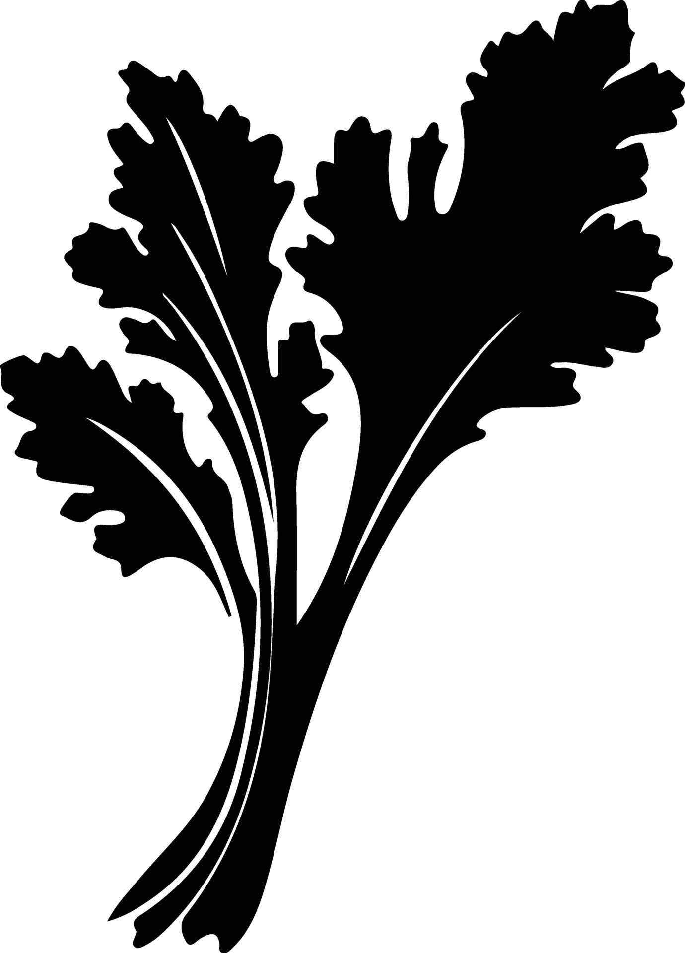 celery black silhouette 38104046 Vector Art at Vecteezy