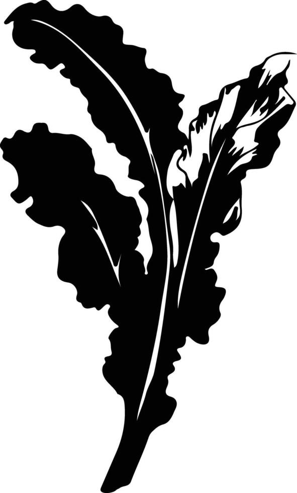 chard  black silhouette vector