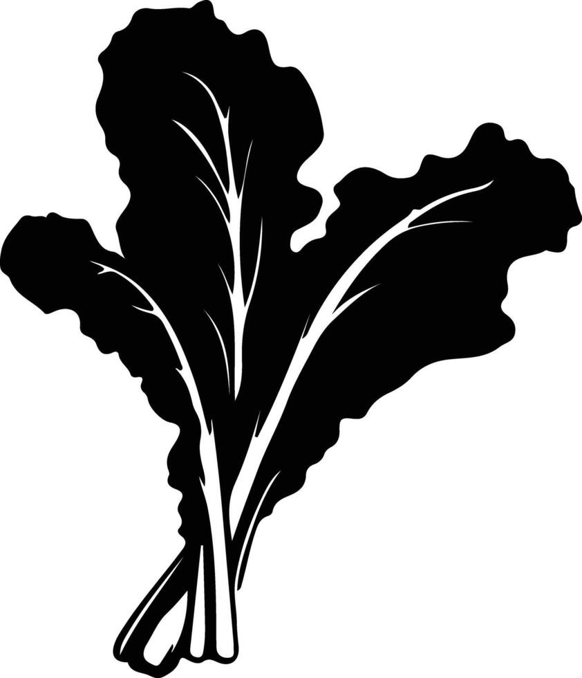 Swiss chard  black silhouette vector