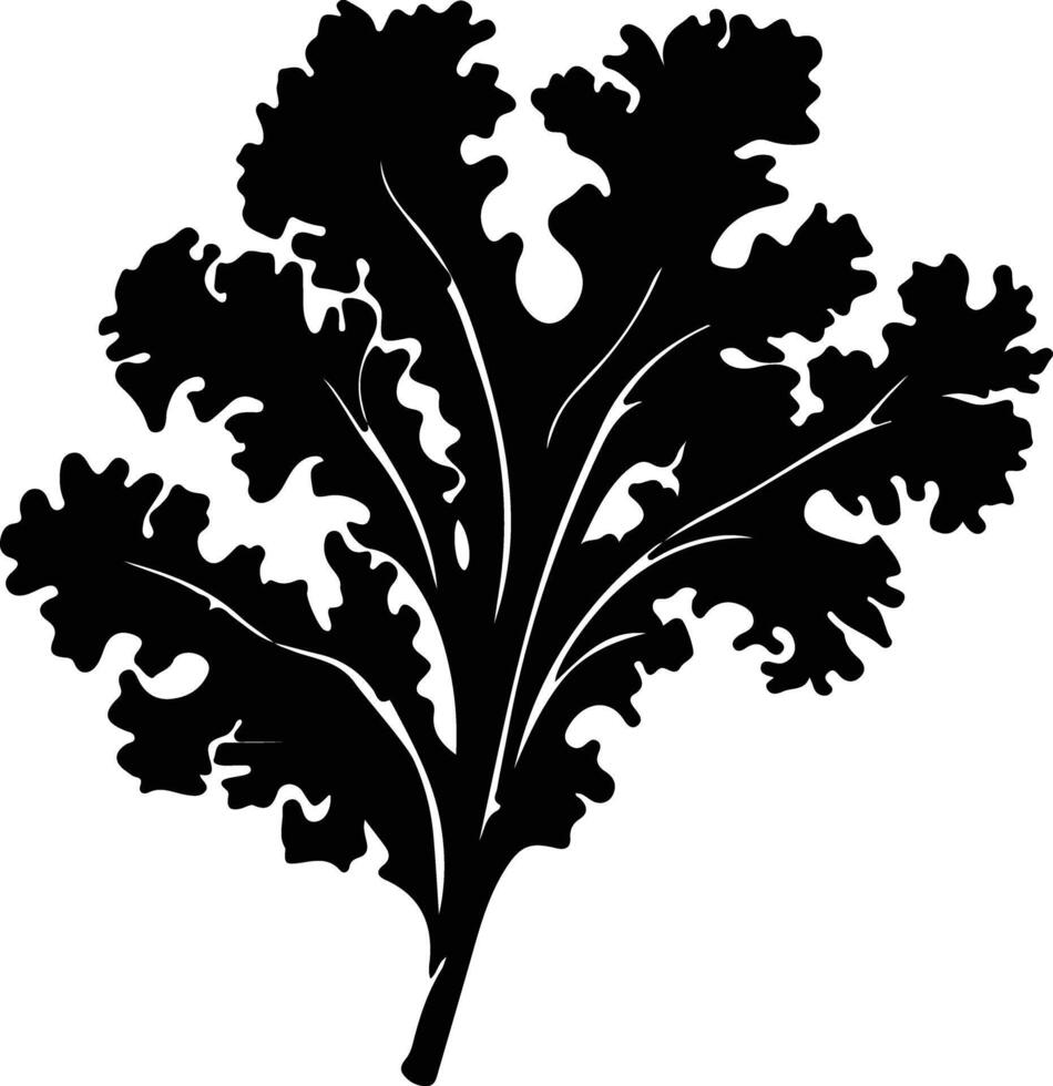 kale black silhouette vector