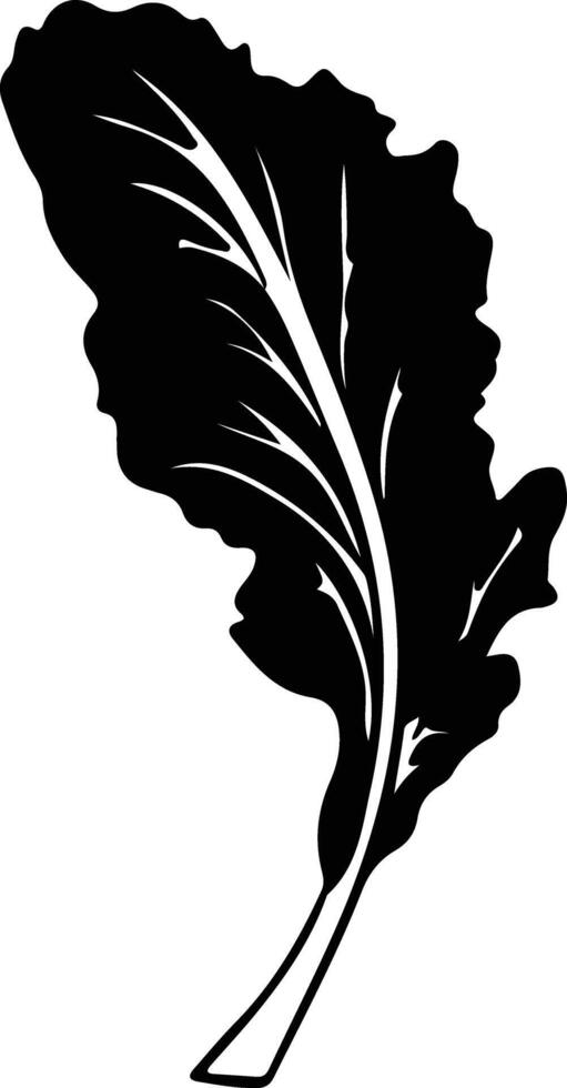 Swiss chard  black silhouette vector