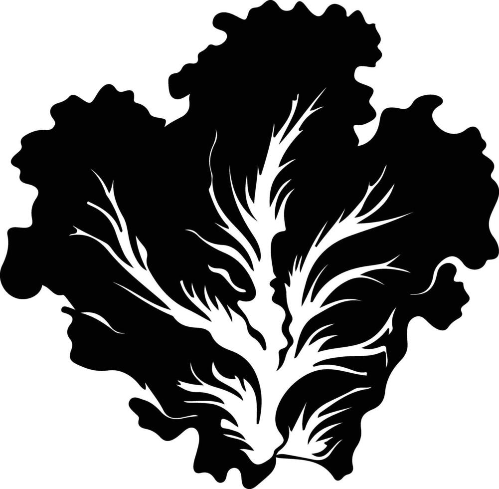iceberg lettuce  black silhouette vector