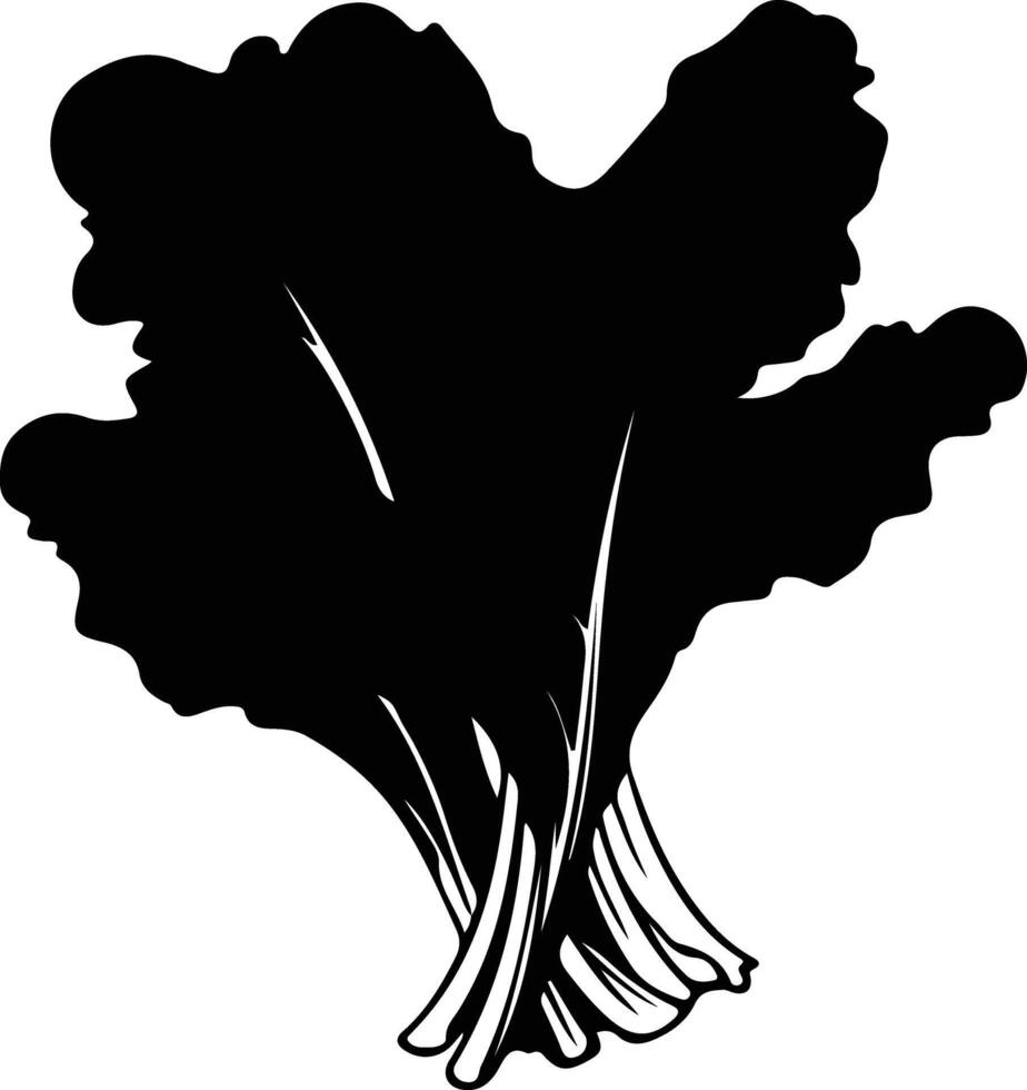 Swiss chard black silhouette vector