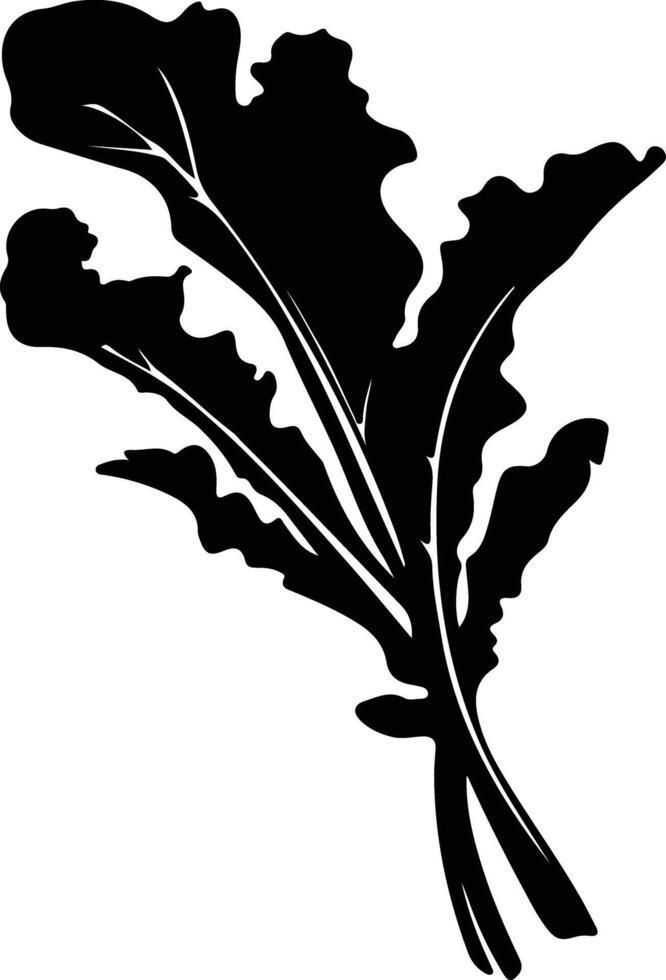 Swiss chard  black silhouette vector