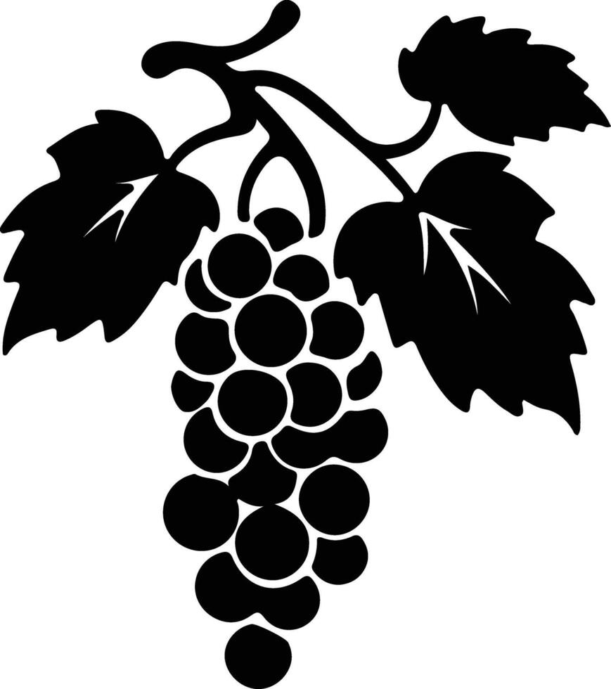 grape  black silhouette vector