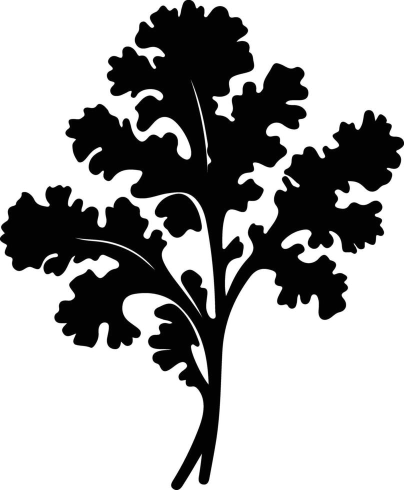 kale  black silhouette vector