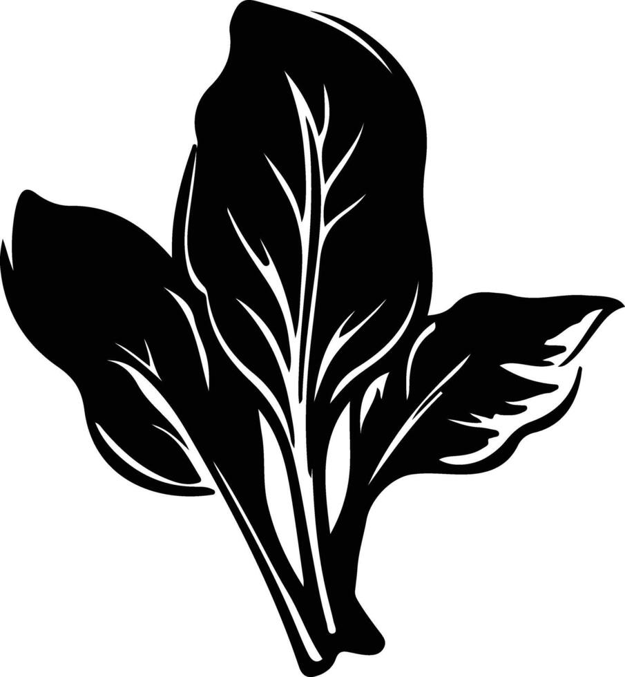 spinach  black silhouette vector