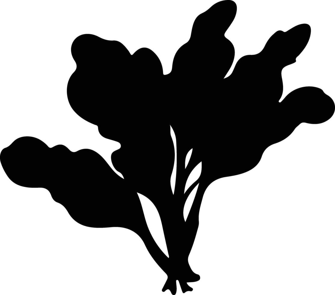 spinach  black silhouette vector