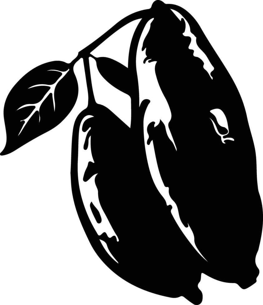 sweet potato  black silhouette vector
