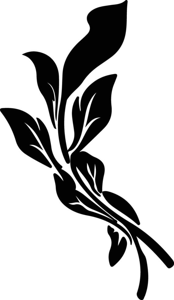 spinach  black silhouette vector