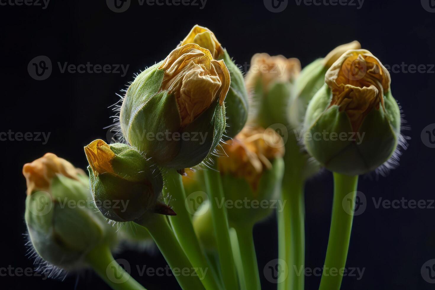AI generated Bunch flower buds. Generate ai photo
