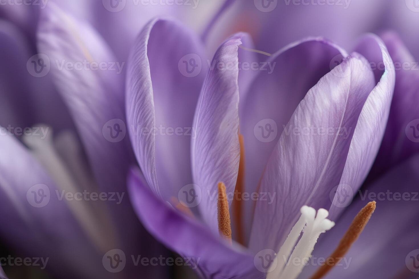 AI generated Delicate flowers of spring crocus for designer bouquet. Generate Ai photo