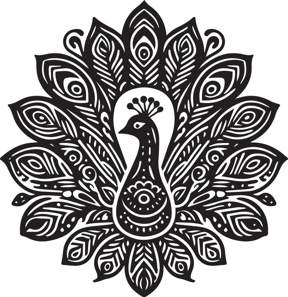 Peacock Vector  Illustration