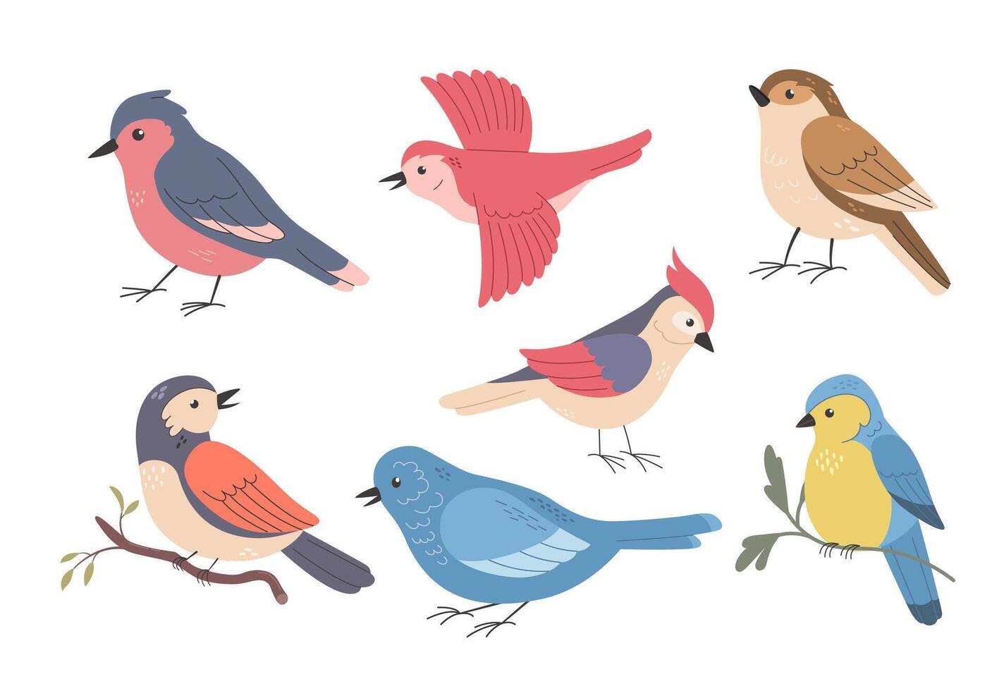 Set of different birds on white background. Cartoon vector illustration.  Cute wild or garden spring birdie. Sparrow, woodpecker, tomtit