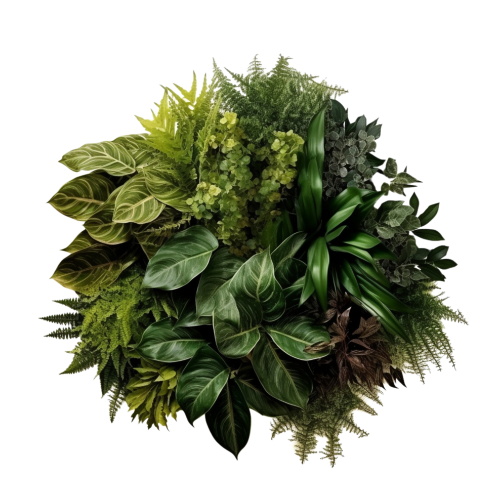 AI generated Bushes Consisting of plants and wild leaves png