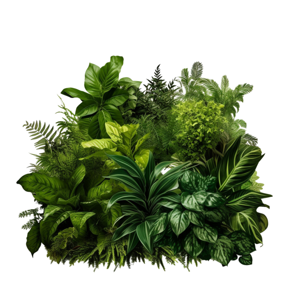AI generated Bushes Consisting of plants and wild leaves png