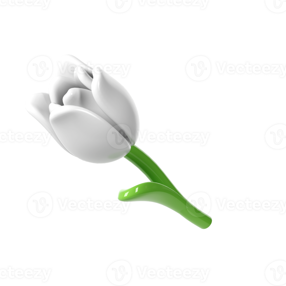 3d White Tulip Flower spring illustration png