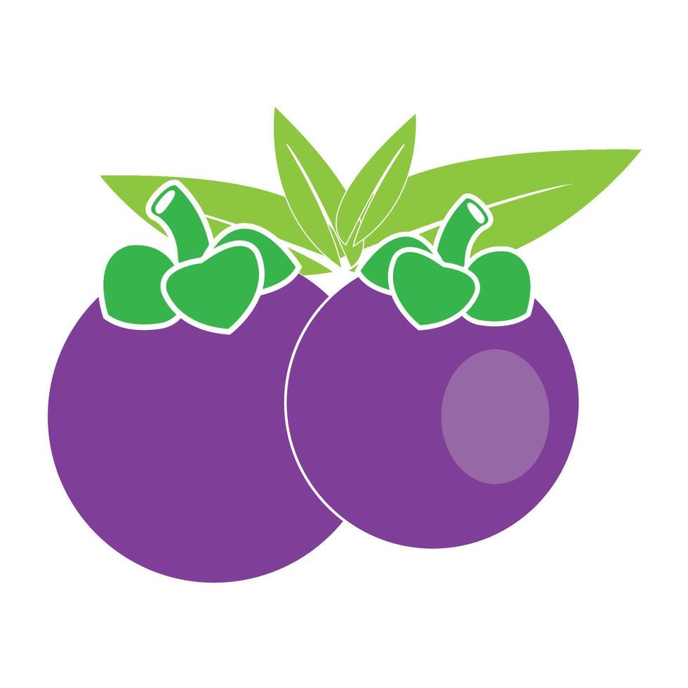mangosteen icon logo vector design template