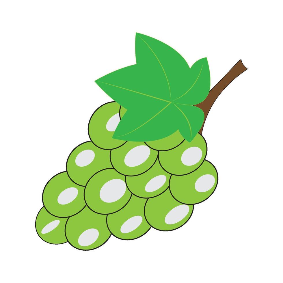 grapes icon vector design template