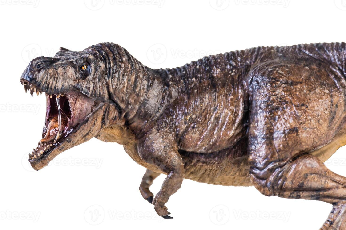 Trex Tyrannosaurus dinosaur on isolated background photo