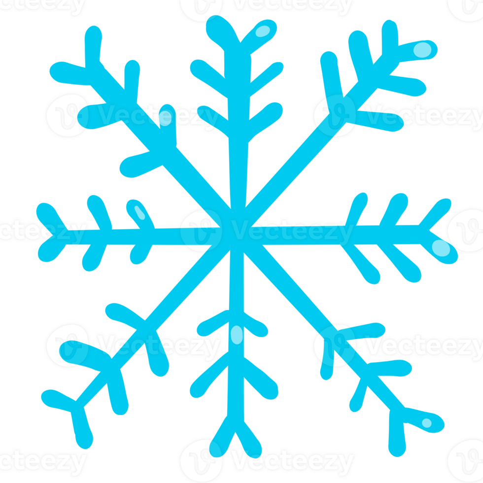 Winter Snowflake weather png