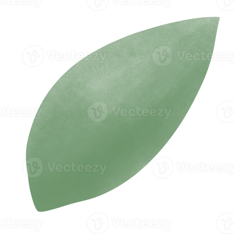 Green nature leaf png