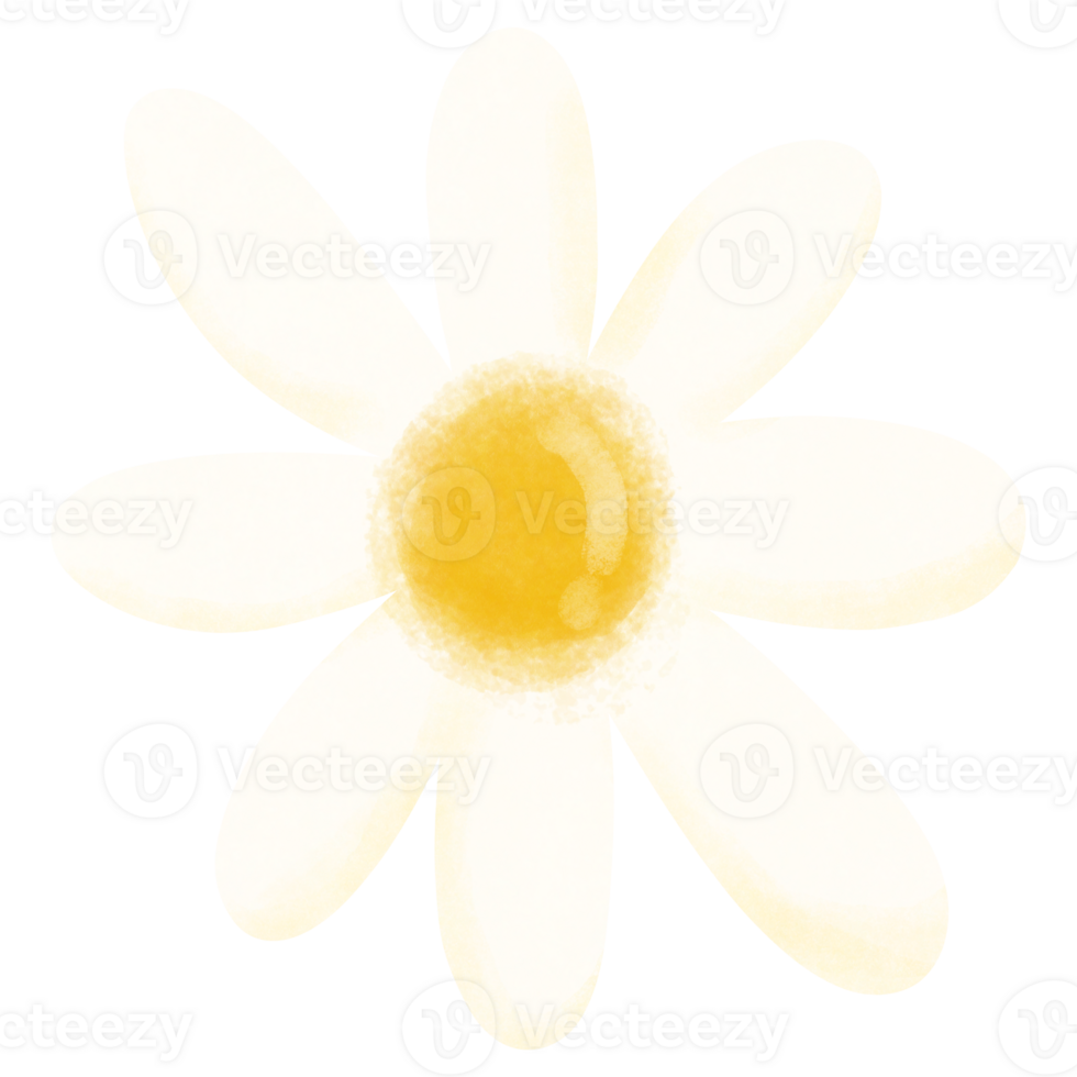 Daisy character, flower png