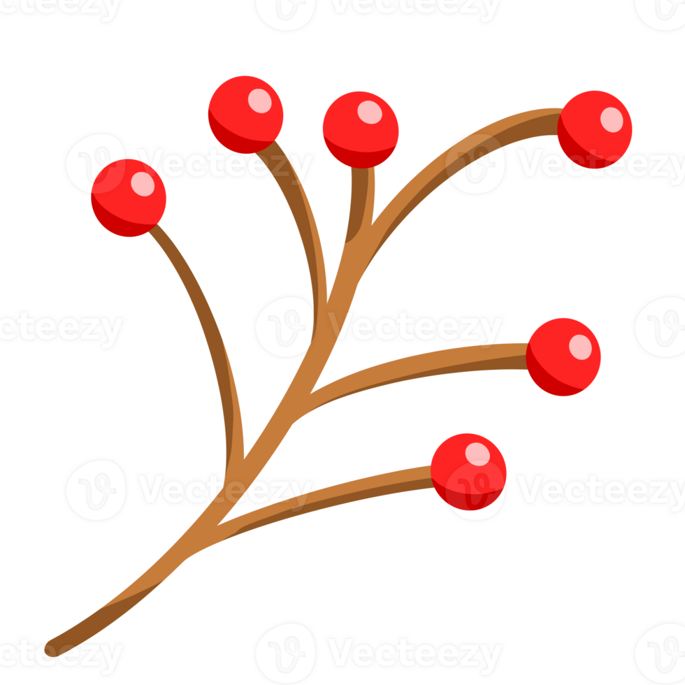 Cherry tree branch with red cherry berries png