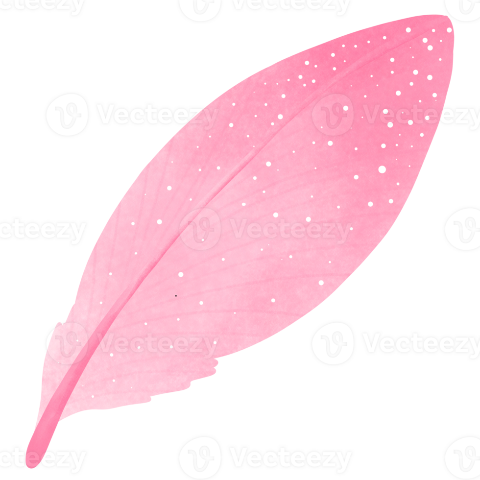 Soft Pink feather png