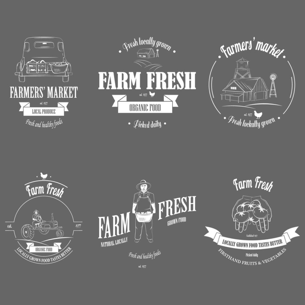 conjunto de insignias de productos frescos de granja. vector