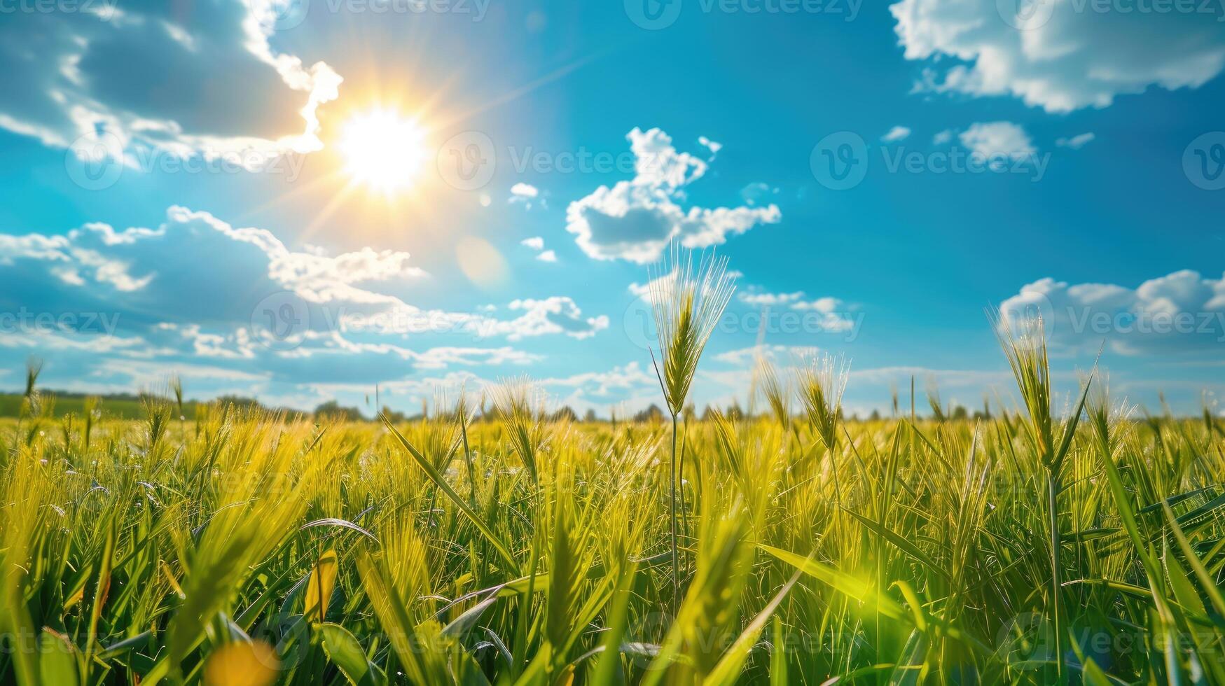 AI generated Summer spring fields stretch under a vast blue sky, offering peace, Ai Generated. photo