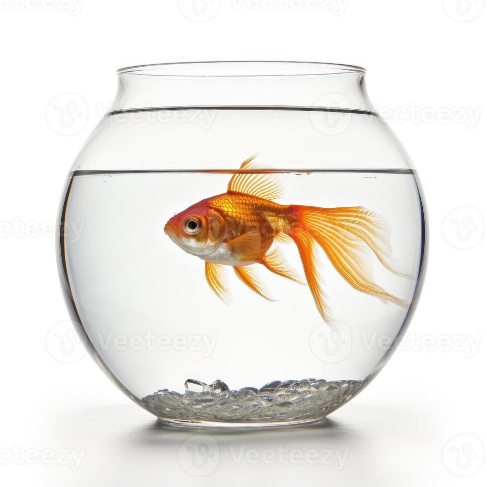 ai generado un imagen de un pez, vivamente en pie fuera en contra un blanco fondo, ai generado foto
