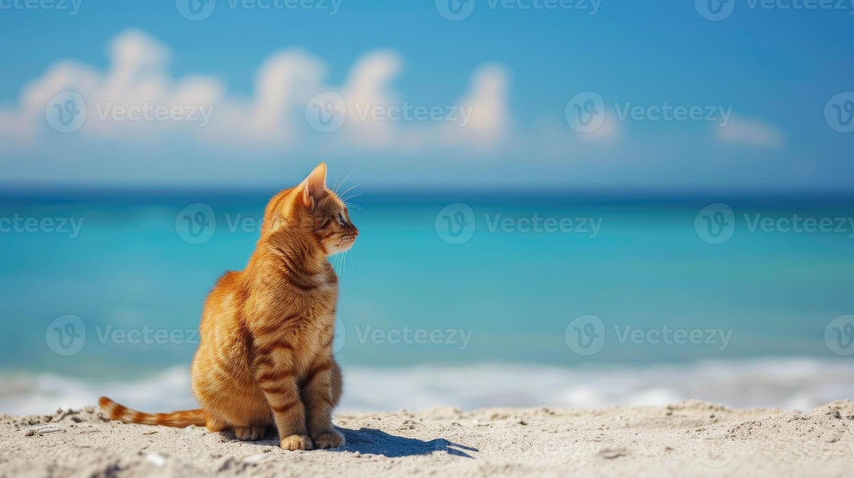 ai generado un atigrado gato es sentado en el playa, mirando fuera a el océano, ai generado foto