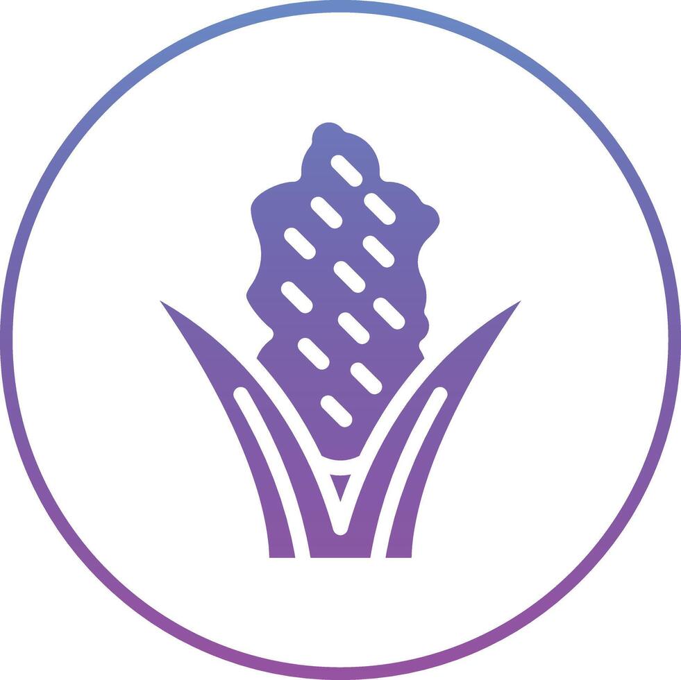 Hyacinth Vector Icon