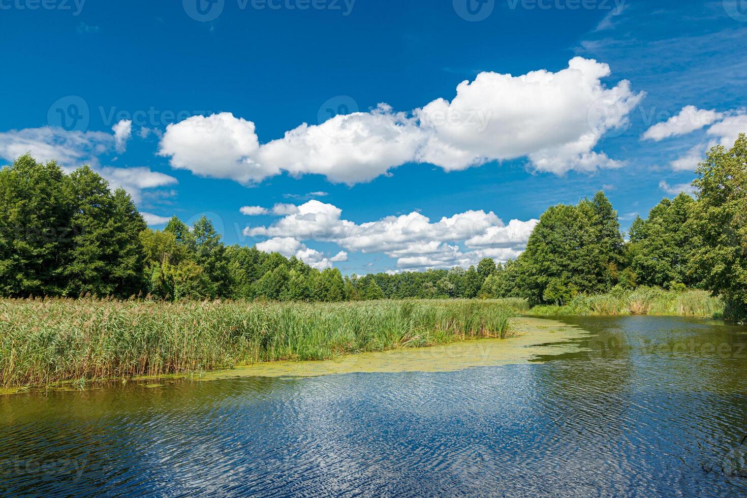 hermosa paisaje lago en contra el azul cielo foto