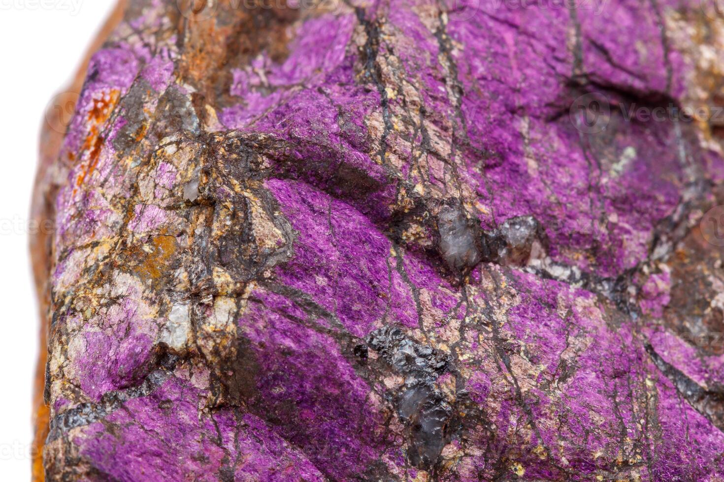 Macro mineral stone purpureus, purple purpurite in the breed a white background photo