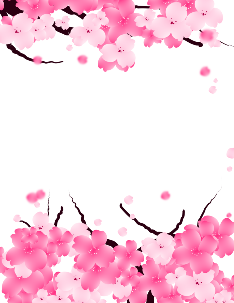 Sweet Valentines Flowers Frame. Pink Sakura Border. Falling Petals Background. png